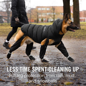 Scarpe Sportive Ecologiche per Cani, Stivali con Bretelle, Protezione Zampe, Copertura Estesa delle Gambe per Sport Estivi e Invernali - Product Image 6