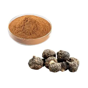 Best Seller Food Grade Herbal Plant Maca Extract Powder Black Maca Root Extract 0.6% Macamides