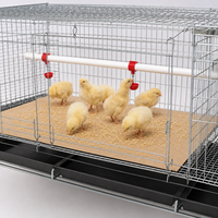 Nouvelle cage d'élevage de poussins de type H à 3/4 niveaux pour poussins d'un jour avec système d'abreuvement automatique par tétine, marque HAOKAI METAL, Afrique