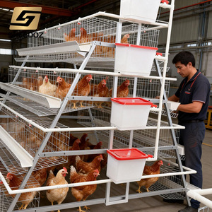 Cage à <span class=keywords><strong>poules</strong></span> <span class=keywords><strong>pondeuses</strong></span> galvanisée <span class=keywords><strong>pour</strong></span> l'élevage de <span class=keywords><strong>poules</strong></span> <span class=keywords><strong>pondeuses</strong></span>, équipement d'élevage avicole - Product Image 2