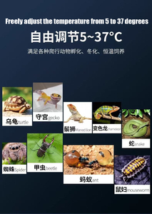Rack d'élevage intelligent pour reptiles Nouveau fabricant de fournitures Serpent Léopard Gecko Enclos Dinde <span class=keywords><strong>Oeuf</strong></span> Incubateur Poulet - Product Image 2