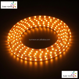 Luz de neón LED personalizada, tira de neón LED para uso en exteriores - Product Image 4