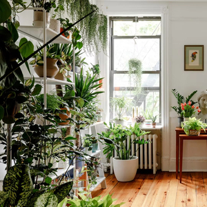 Planta Artificial Plantas Artificiais Em Vaso Árvores Plantas Plásticas Folha Árvore Falsa para Interior Home Decor - Product Image 1