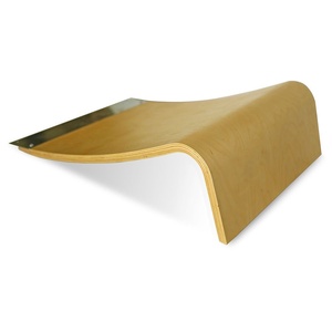 Rampa de lanzamiento de madera de 7,9 "con forma de tamaño de logotipo personalizado para monopatín, bicicletas, rodillos, deportes de coches Rc - Product Image 3