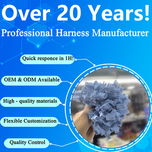 Harnais de câblage personnalisé OEM avec âme en cuivre et isolation en PVC, connecteur 2 broches PSIP-02V-LE-A, assemblage de câbles SPSI 001T M1.1 AWG24 - Product Image 6