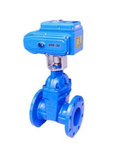 ANSI Standard Cast Iron Soft Seal Gate Flange-Connected Flow Control for Industrial Water Use FLZ945X-16 Gate - Product Image 4