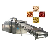 Volautomatische Doorlopende Transportband Gaasbanddroger Voor Fruit En Groente Drogen Voedsel Dehydratatiemachine