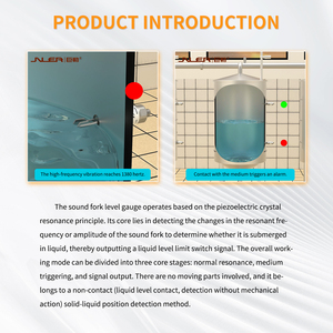 Sensore di Livello a Forcella Vibrante Antideflagrante Industriale in Acciaio Inossidabile per Serbatoi di Liquidi Chimici, Olio e Acqua - Product Image 4