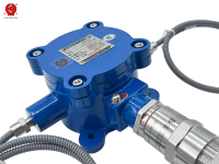 Capteur de température antidéflagrant double Pt100 RTD Ex Db IIB T6 Gb 2BWZGJ pour roulement de moteur, usage industriel, IP66, OEM ODM