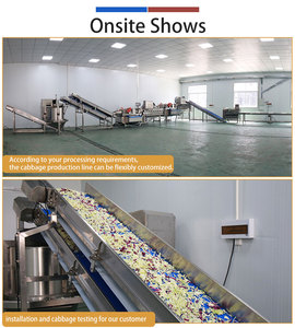 Línea de Procesamiento Automática de Vegetales de 0.5-2t/h, Línea Comercial para Lavado, Corte y Secado de Verduras de Hoja Verde - Product Image 5