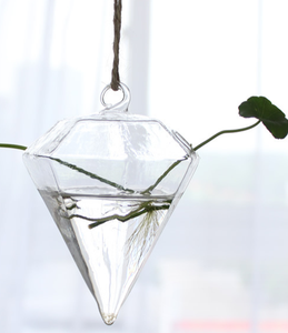 Ronde larme ange coeur hexagone clair Globe <span class=keywords><strong>suspendu</strong></span> Terrarium Air-<span class=keywords><strong>plante</strong></span> jardin <span class=keywords><strong>boule</strong></span> de <span class=keywords><strong>verre</strong></span> sphère photophore SUCCULENT titulaire - Product Image 6