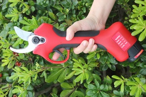<span class=keywords><strong>Nplus</strong></span> แบตเตอรี่ลิเธียม16.8V สำหรับกรรไกรตัดแต่งกิ่งอัตโนมัติสำหรับสาขากรรไกรไฟฟ้า34X18X22ซม. ไฟฟ้า2.5กก. 5-6 - Product Image 2