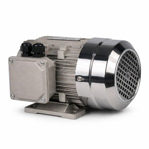 Motore Asincrono Trifase 0,88/<span class=keywords><strong>1</strong></span>,1kW con Alloggiamento in Alluminio, Doppia Velocità per Smontagomme, Motore Personalizzato, Certificato CE - Product Image 5