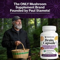 Capsules OEM pour stimuler le cerveau chez l'adulte, complément alimentaire à base de Lion's Mane et de Reishi, soutient la santé des yeux, la concentration, la mémoire