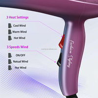 Moehair-Ensemble sèche-cheveux 5 en 1 violet, 1000W, moteur électrique DC, diffuseur et buse pour hôtel, usage domestique