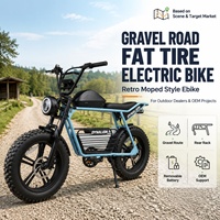 Vélo électrique à pneus larges pour chemins en gravier, style cyclomoteur rétro, avec porte-bagages arrière et batterie amovible, pour concessionnaires et fournisseurs OEM