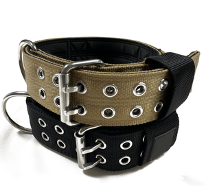 <span class=keywords><strong>Dog</strong></span> <span class=keywords><strong>Collar</strong></span> elegante com estofamento macio <span class=keywords><strong>Neoprene</strong></span> e aço inoxidável Hardware Características Ribbon Decoração - Product Image 1