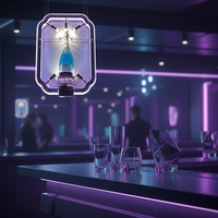 Présentoir à bouteilles en acrylique LED de haute qualité pour boîte de nuit MeiJIE, service VIP pour le roi, Henne-ssy