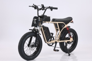 Almacén de EE. UU. 20 pulgadas Fat Tires 48V750W Snow EBike Bicicleta eléctrica de doble suspensión Batería extraíble Motocicleta con bolsa de teléfono - Product Image 2