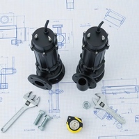 WQ SS304 Tauchmotor-Abwasserpumpe 5 PS 50m/164ft Förderhöhe DN50 Flansch OEM Abwasser-Entwässerungspumpe 3-Phasen Energieeffizient Hochleistung