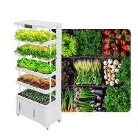 Machine de culture de légumes intelligente d'intérieur, système hydroponique multicouche avec humidification par pulvérisation et refroidissement pour balcon et ferme
