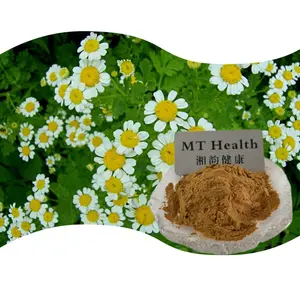 Factory Supply Kosher Chrysanthemum Parthenium Extract 10:1 Feverfew Extract