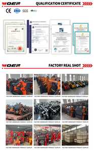 Woer grosir multifungsi baru Diesel bensin Front End Crawler trek karet Skid Steer pemuat lintasan aliran tinggi - Product Image 4