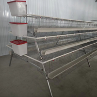 Cage à poules pondeuses en fil métallique galvanisé pour 2000 poulets, idéale pour les fermes en Tanzanie, au Ghana et au Nigéria