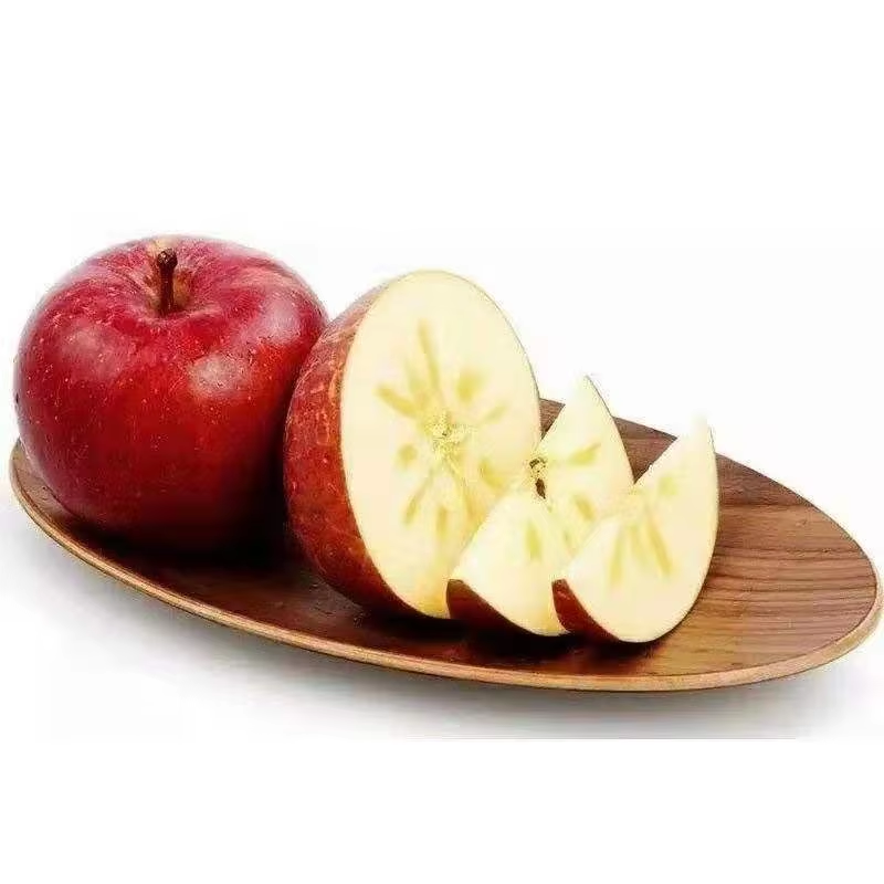 Wholesale Price Chinese Supplier IQF Frozen Fruits Harvest Unsweetened Bulk IQF Apple Dice