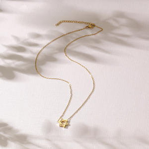 महिला इज़राइल यहूदी धार्मिक आभूषण पेंडेंट स्टेनलेस स्टील स्टार ऑफ़ डेविड हार - Product Image 3