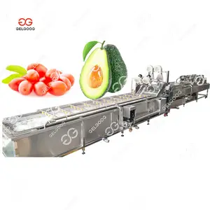 Escova de frutas, linha de corte e lavagem de frutas e vegetais, máquina de tratamento industrial para frutas e vegetais, linha de lavagem para frutas vermelhas