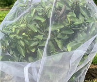 Filet anti-insectes en polyéthylène 100 mailles pour serres agricoles / arbres / jardins potagers