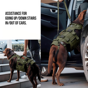 Harnais de levage pour chien, pour chiens âgés ou handicapés, soutien de la hanche, gilet de levage, sangle réglable, aide à la marche pour animaux de compagnie - Product Image 5