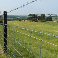 Clôture en treillis métallique galvanisé pour prairies Clôture en fil de fer tissé à nœud fixe pour les champs de bovins, de cerfs, de moutons et de porcs pour usage agricole