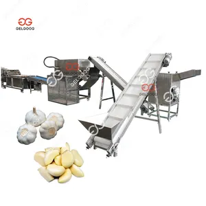 Gelgoog Garlic Peeling And Packing Nitrogen Conserving Machine Maker Garlic Peeling And Preserving Machine