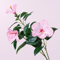 Bouquet de fleurs d'hibiscus parfumées réalistes, bouquet décoratif moderne pour le bureau, le jardin, la décoration de la maison, plantes artificielles, fleurs artificielles