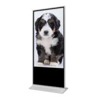 Fvasee 65 Inch Indoor Vloerstaande Digital Signage Android Systeem Screen Reclame Kiosk