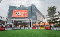 Césped Artificial para Cancha de Fútbol, Ecológico, Duradero, Material PE, Césped Sintético para Fútbol, Alta Densidad, Resistente al Desgaste, 8 Años