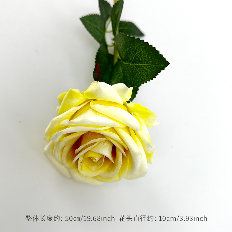 White and yellow