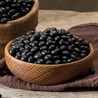 Haricots noirs biologiques séchés de qualité supérieure avec germe vert, non-OGM, pour la cuisine et la germination, vente en gros