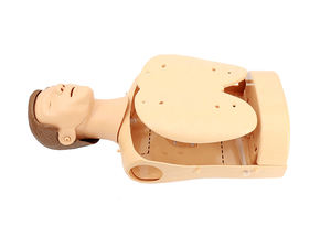 Addestramento medico di emergenza medica manichino medico ospedaliero insegnamento usato per metà corpo <span class=keywords><strong>CPR</strong></span> manichino - Product Image 6