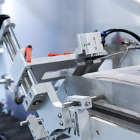 Machine d'emballage de type oreiller à double servo haute vitesse, idéale pour l'emballage de biscuits, de cookies et autres produits de boulangerie
