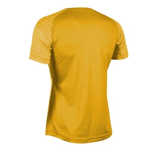 Ropa deportiva de gimnasio de manga corta para hombre de alta calidad, ropa de entrenamiento de secado rápido, camiseta de entrenamiento físico en conjunto de patrón sólido - Product Image 2