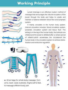 สินค้าขายดี เครื่องลดสัดส่วนระดับมืออาชีพ สำหรับกระชับสัดส่วน ปลั๊กแบบ EU - Product Image 5