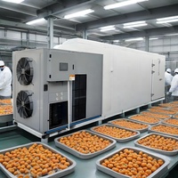 Hallo River Brand Industriële Commerciële Persimmon Droger Fruit Voedsel Droogmachine voor Theebladeren Groenten Bloemen Thee Dadels CE