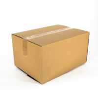 Empaquetado de envío resistente personalizado respetuoso con el medio ambiente 3 5 Plys RSC Boxes Strong Master Carton Caja de cartón Empaquetado de doble pared