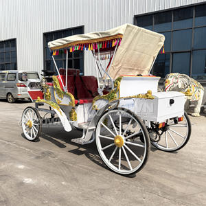 ZOWN 2025 Últimos Modelos Carruaje de Caballos Escultórico Real para Parque de Atracciones Turístico Victoria Eléctrico de 4 Ruedas para 4-6 Personas 2 Años - Product Image 6