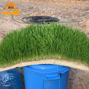 Sistema de forraje <span class=keywords><strong>animal</strong></span>, máquina de forraje hidropónico para máquina de alimentación verde - Product Image 6
