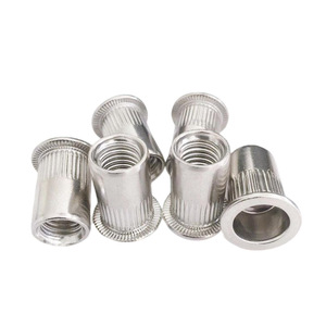 Tuercas Remachables Hexagonales de Zinc Azul-Blanco/Color Zinc de Fábrica Bibo Yaente - Tuercas Remachables Ciegas de Cabeza Plana Pequeña M3-M10 - Product Image 3