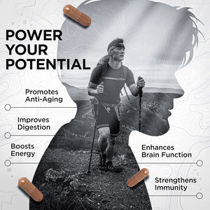 BiocaroShilajit樹脂純粋なヒマラヤ有機<span class=keywords><strong>Shilajeet</strong></span>カプセルとAshwagandha高麗人参およびその他のフルボ酸カプセル - Product Image 4